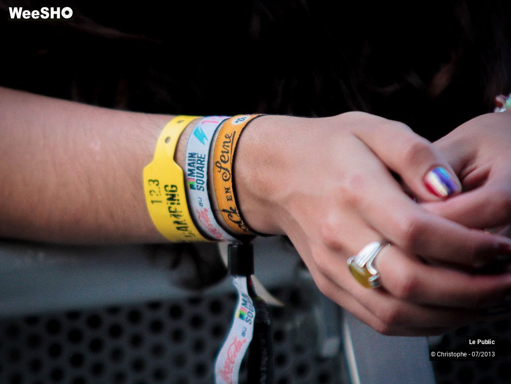 6/50 photos du spectacle Main Square Ambiance Jour 3