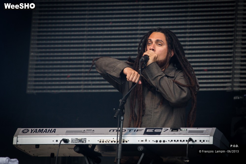 6/20 photos du spectacle P.O.D.
