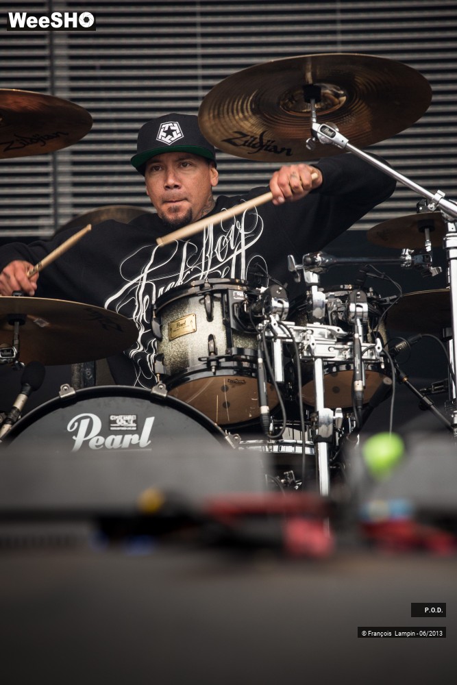 13/20 photos du spectacle P.O.D.