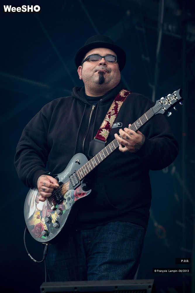 16/20 photos du spectacle P.O.D.