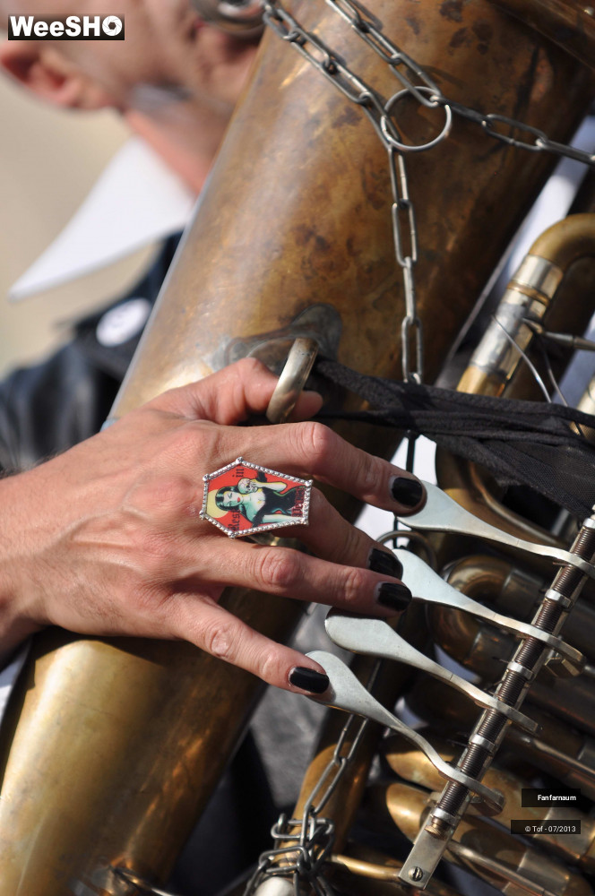 17/55 photos du spectacle Psychiatrik Fanfaroïd