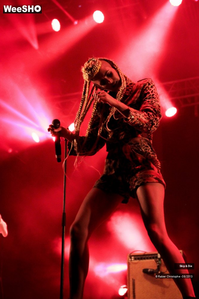 28/40 photos du spectacle Skip & Die