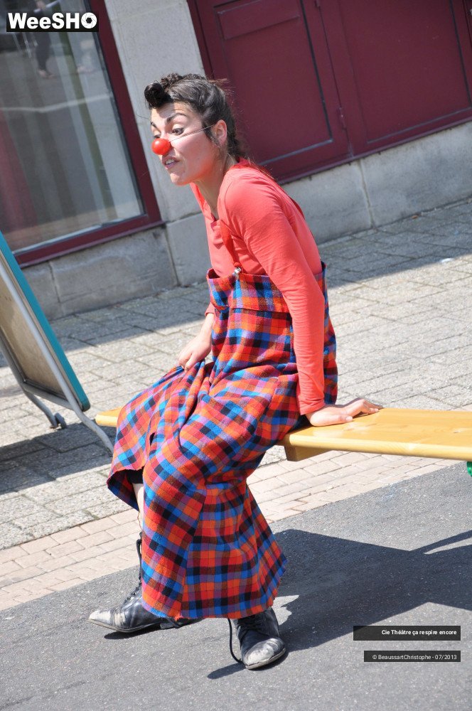 40/41 photos du spectacle Les Roots