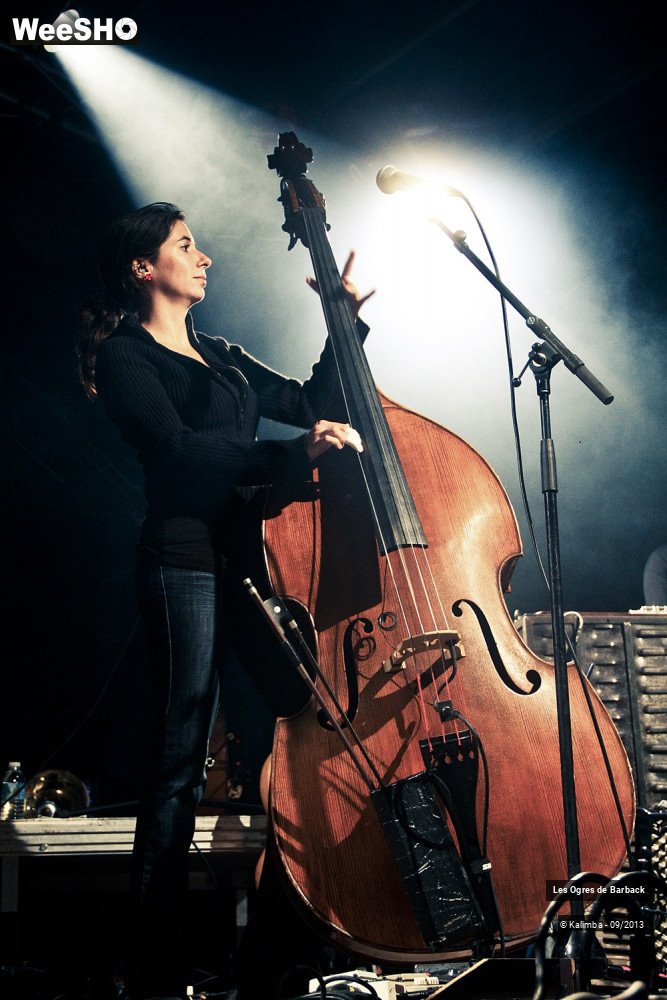 24/26 photos du spectacle Les Ogres de Barback