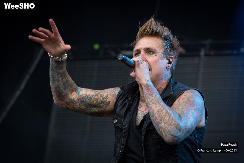 1/17 photos du spectacle Papa Roach