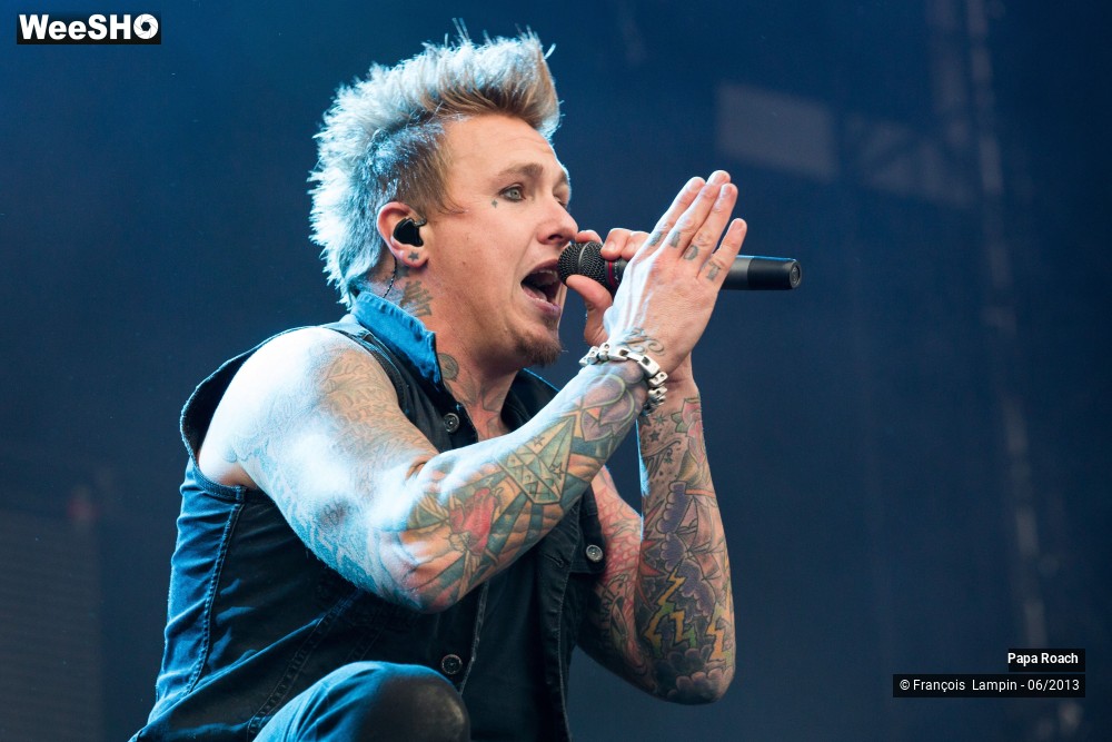 2/17 photos du spectacle Papa Roach