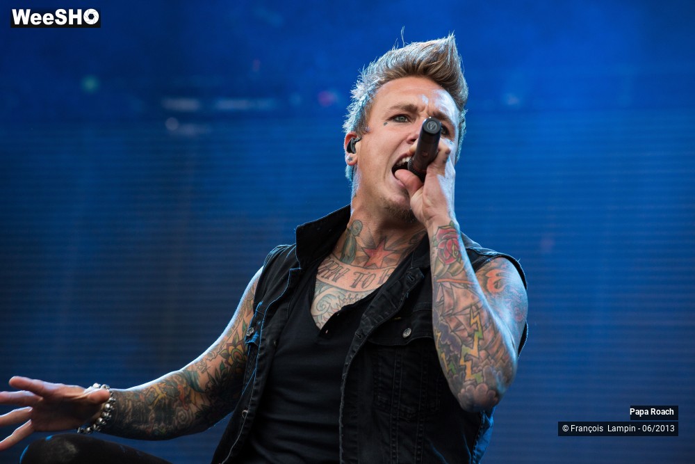 4/17 photos du spectacle Papa Roach