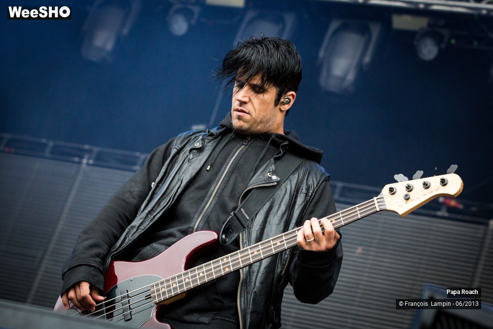 11/17 photos du spectacle Papa Roach