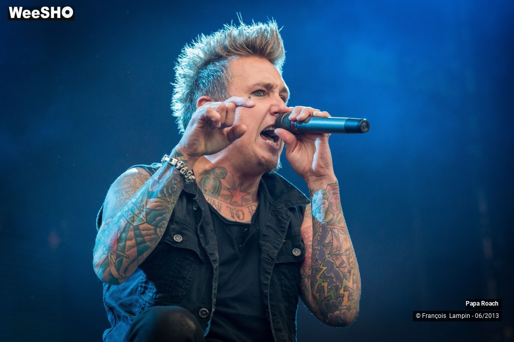12/17 photos du spectacle Papa Roach