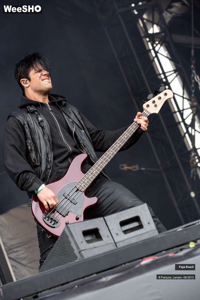 14/17 photos du spectacle Papa Roach