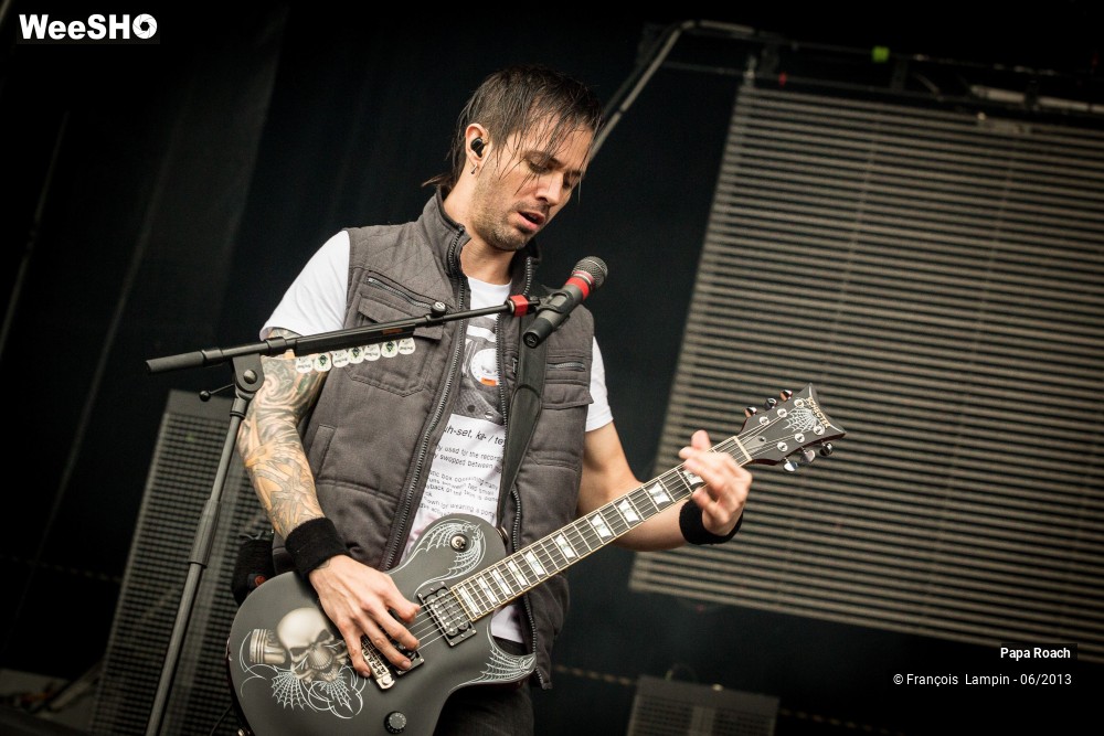 15/17 photos du spectacle Papa Roach