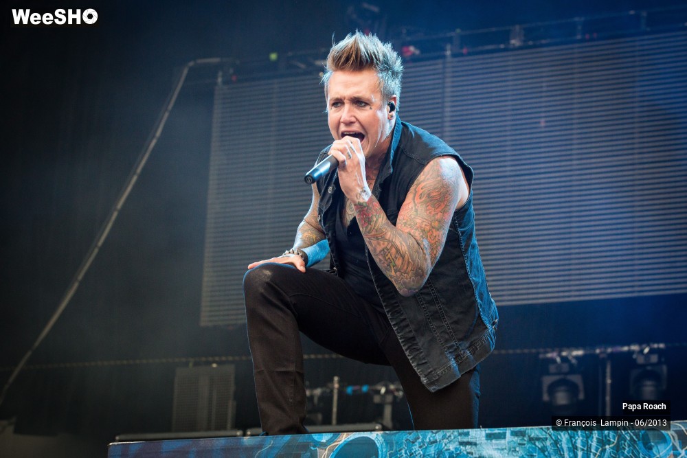 16/17 photos du spectacle Papa Roach