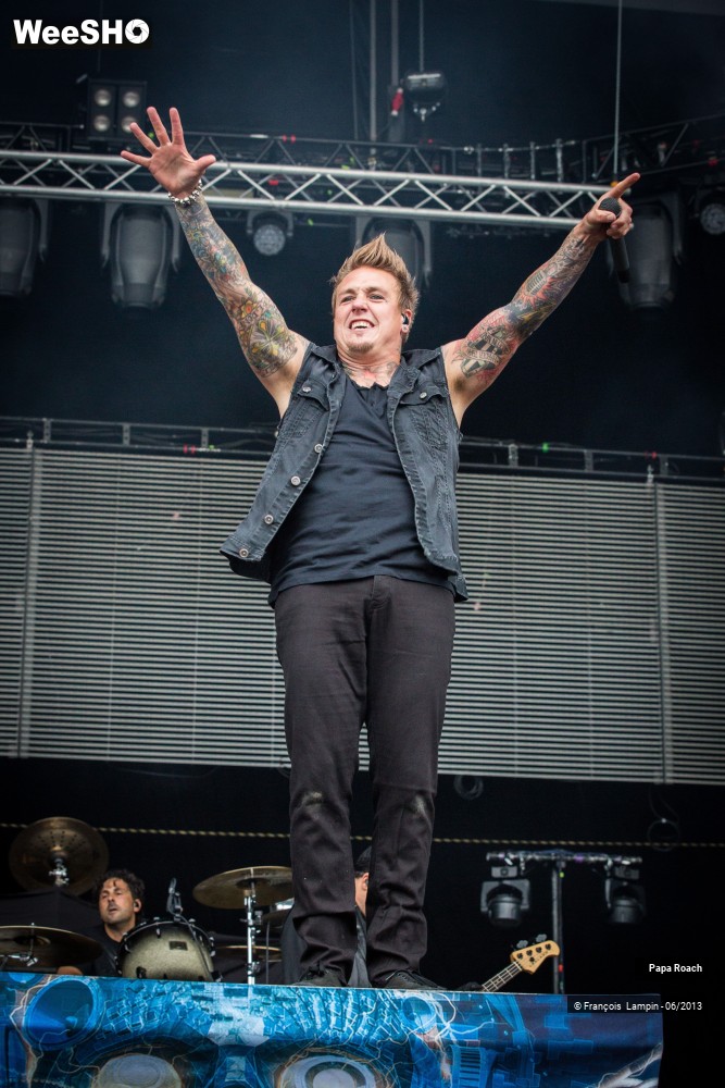 17/17 photos du spectacle Papa Roach