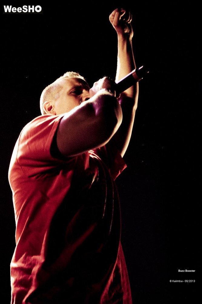 29/29 photos du spectacle Buzz Booster