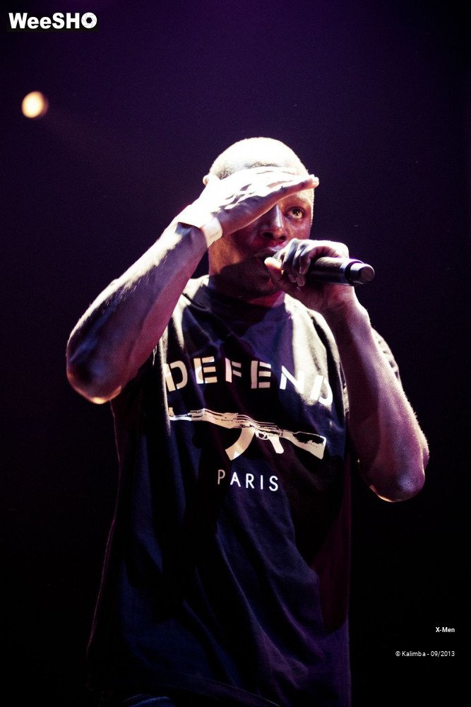 25/30 photos du spectacle X-Men