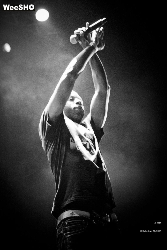 27/30 photos du spectacle X-Men