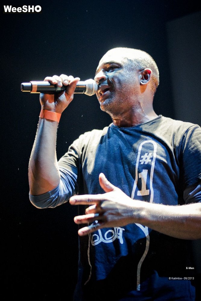 28/30 photos du spectacle X-Men