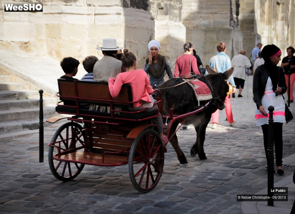 9/44 photos du spectacle Muzik'elles 2013 Ambiance