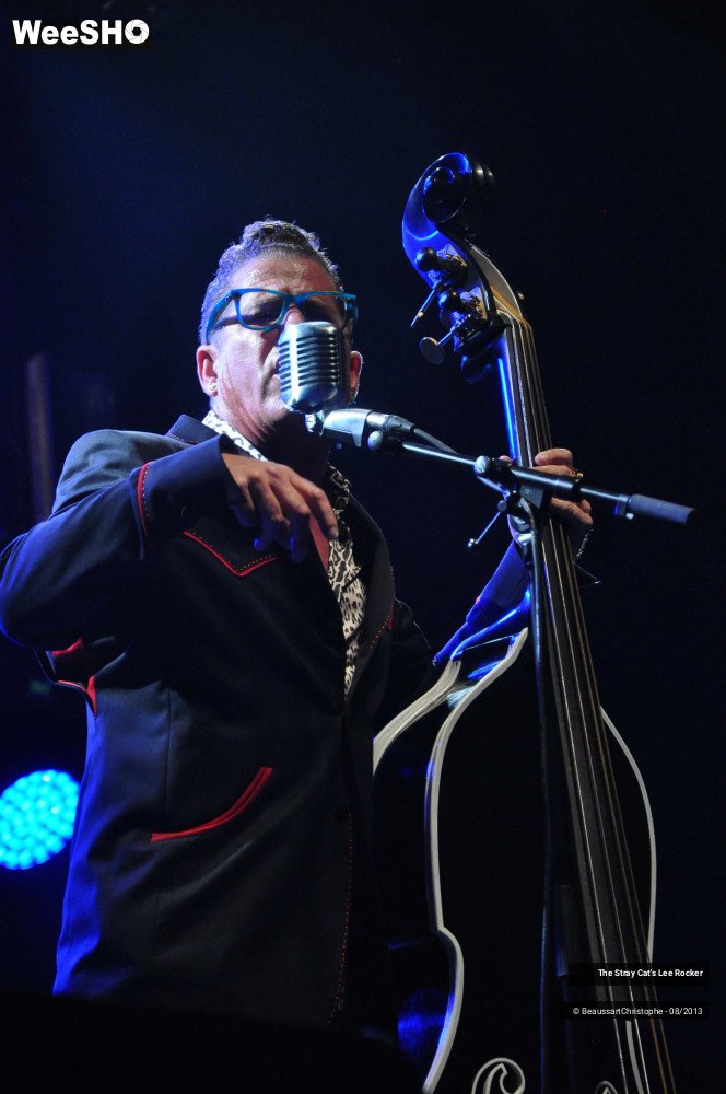 45/49 photos du spectacle The Stray Cat's Lee Rocker