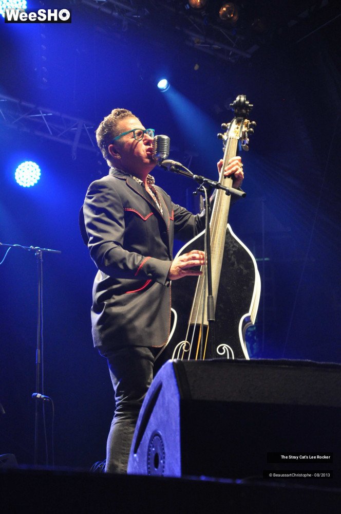 49/49 photos du spectacle The Stray Cat's Lee Rocker