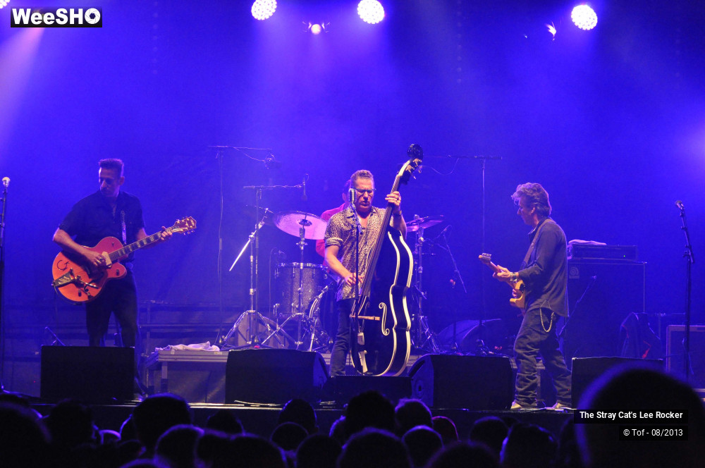 6/49 photos du spectacle The Stray Cat's Lee Rocker