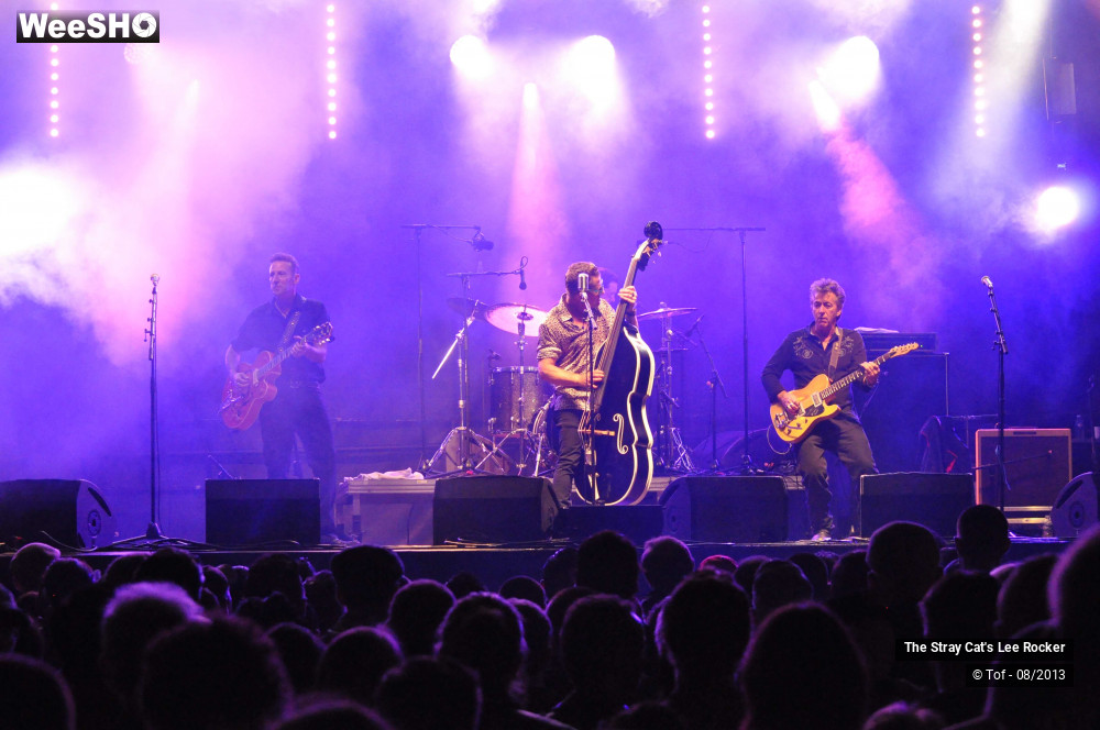 13/49 photos du spectacle The Stray Cat's Lee Rocker