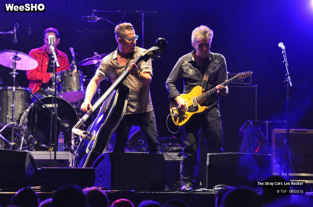 18/49 photos du spectacle The Stray Cat's Lee Rocker