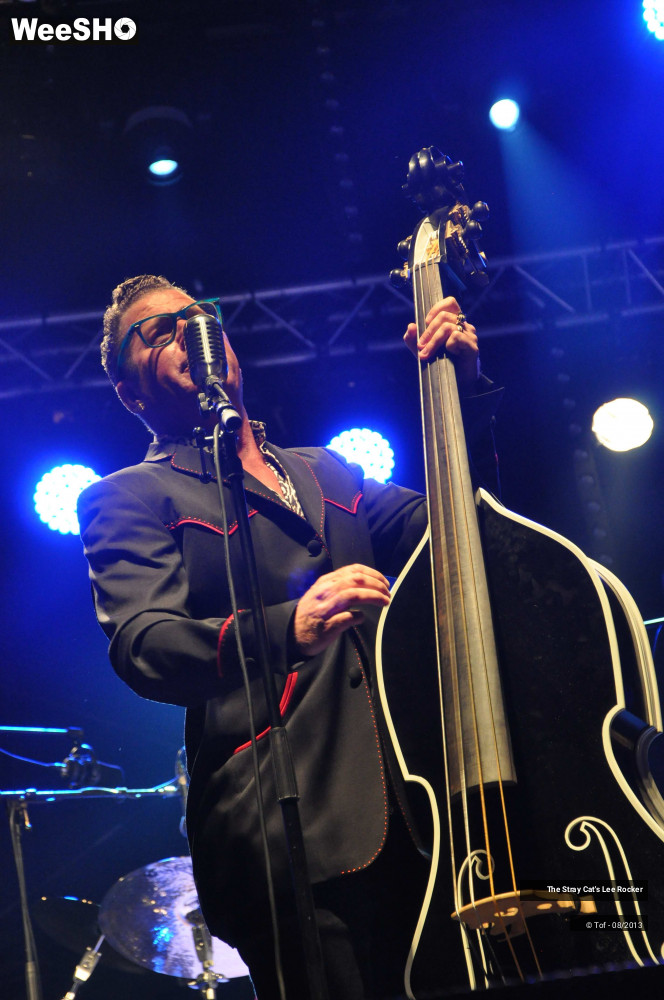 21/49 photos du spectacle The Stray Cat's Lee Rocker