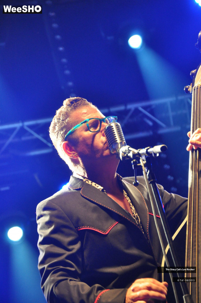 22/49 photos du spectacle The Stray Cat's Lee Rocker