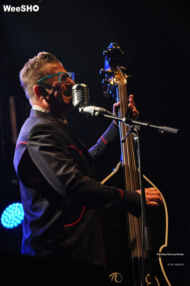 24/49 photos du spectacle The Stray Cat's Lee Rocker