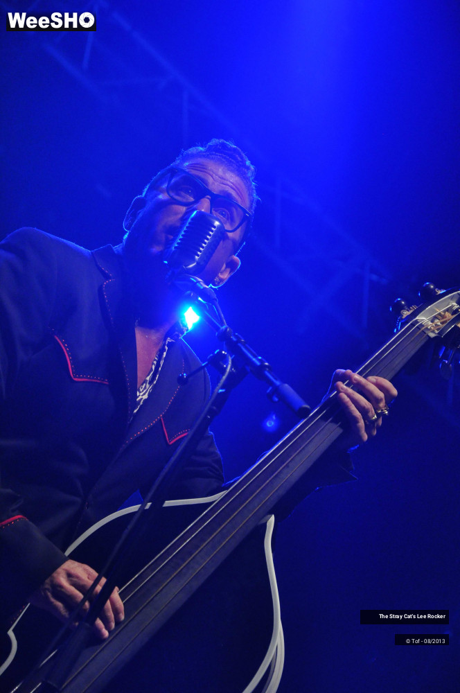 26/49 photos du spectacle The Stray Cat's Lee Rocker