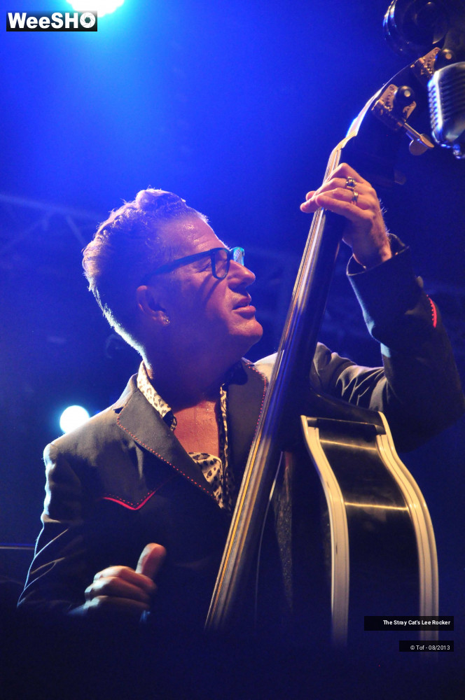 30/49 photos du spectacle The Stray Cat's Lee Rocker