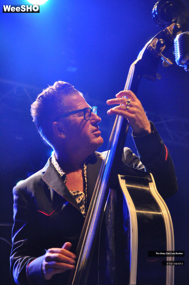 31/49 photos du spectacle The Stray Cat's Lee Rocker