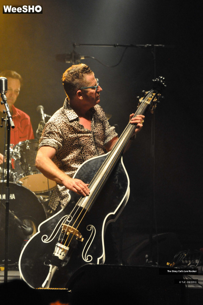 33/49 photos du spectacle The Stray Cat's Lee Rocker