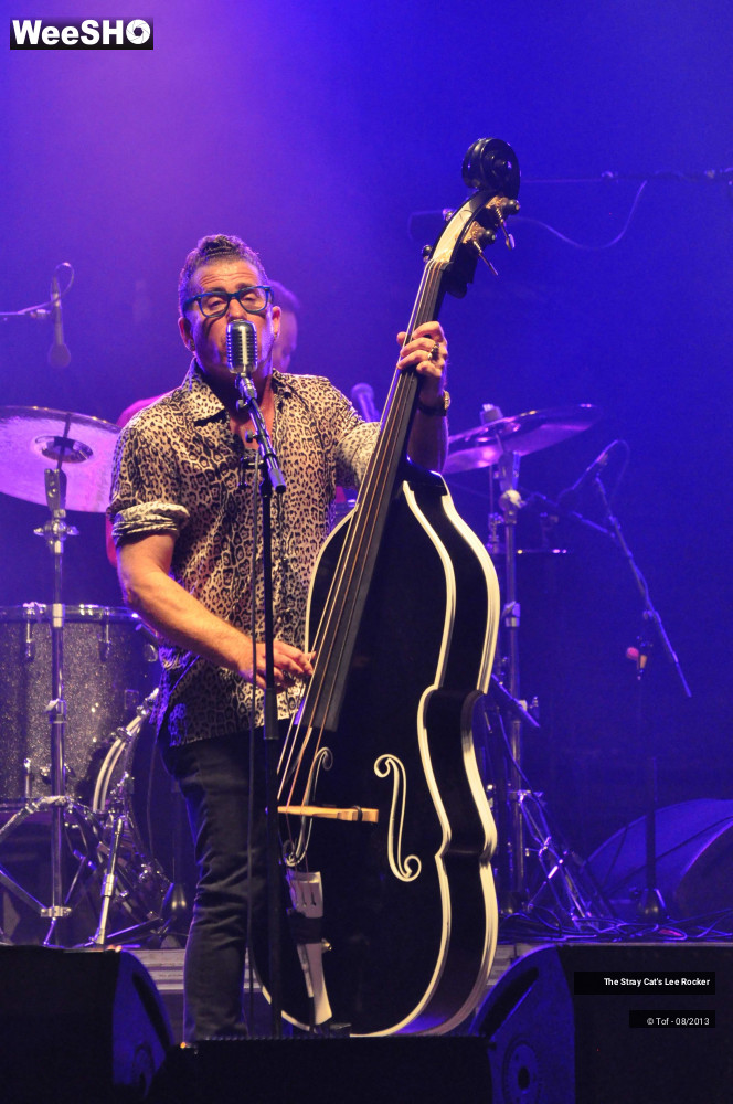 34/49 photos du spectacle The Stray Cat's Lee Rocker