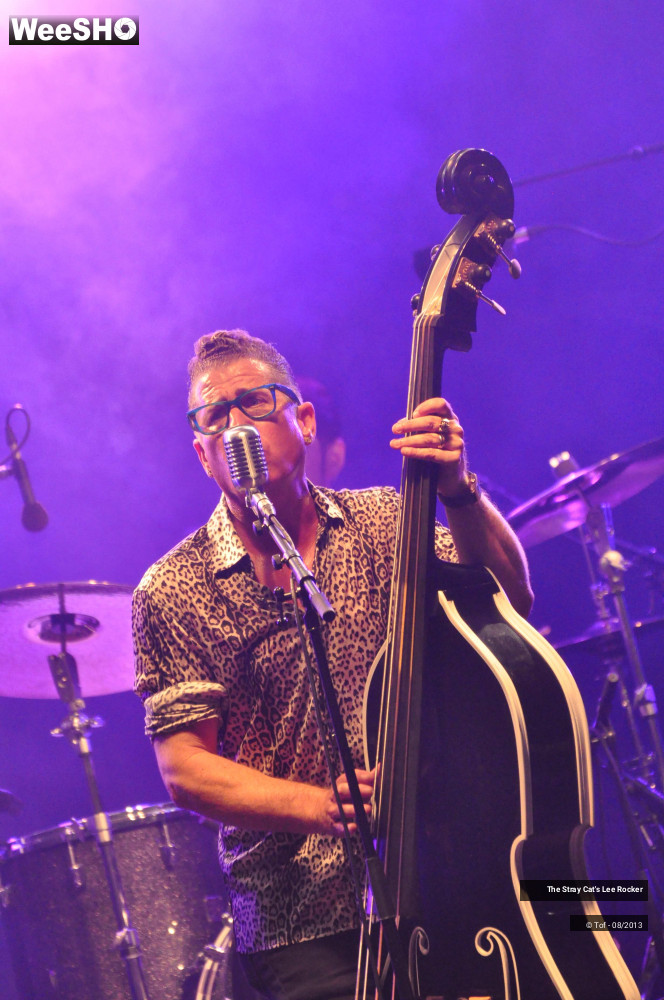 37/49 photos du spectacle The Stray Cat's Lee Rocker