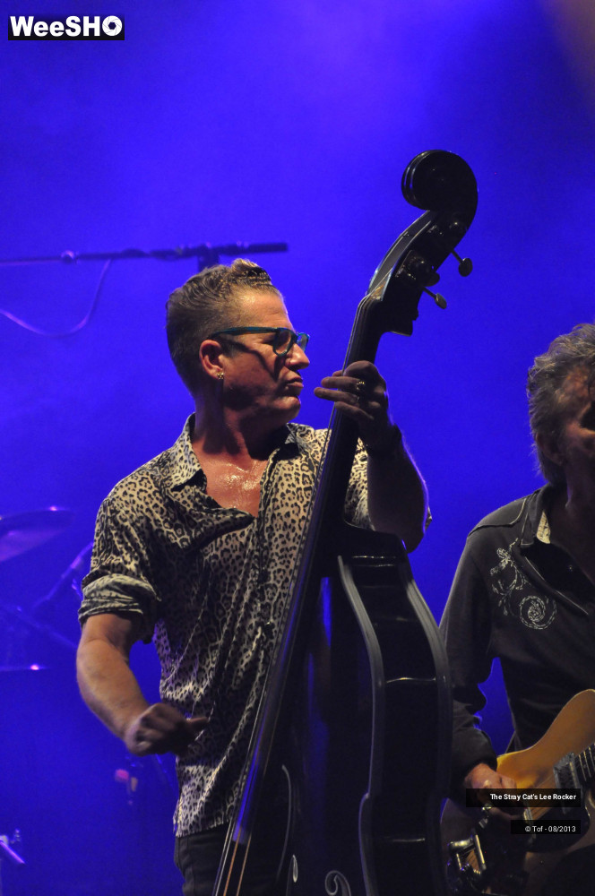 38/49 photos du spectacle The Stray Cat's Lee Rocker