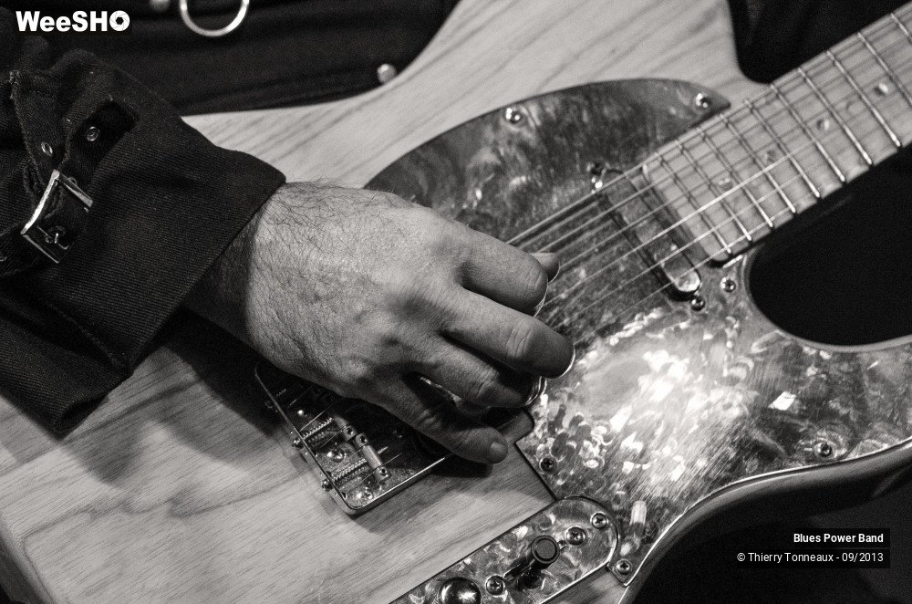 32/50 photos du spectacle The Blues Power Band
