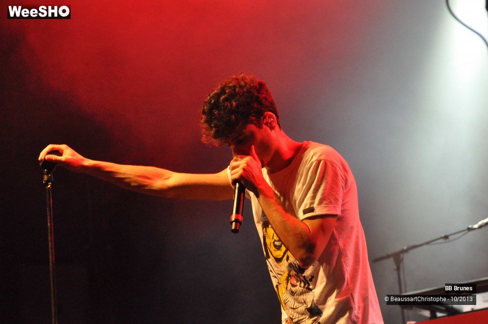 47/55 photos du spectacle BB Brunes