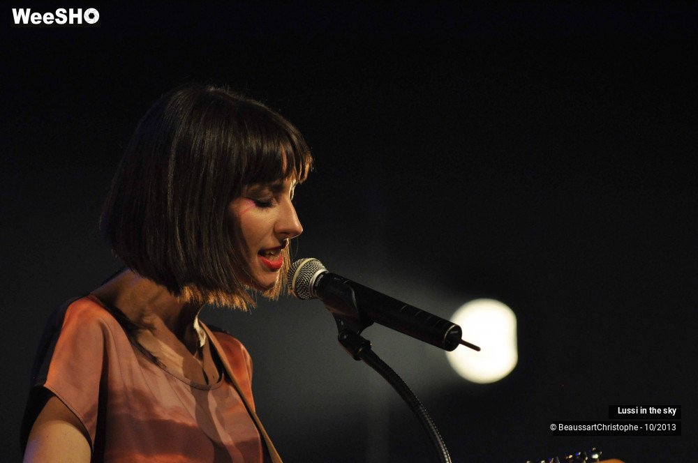 38/46 photos du spectacle Lussi in the Sky