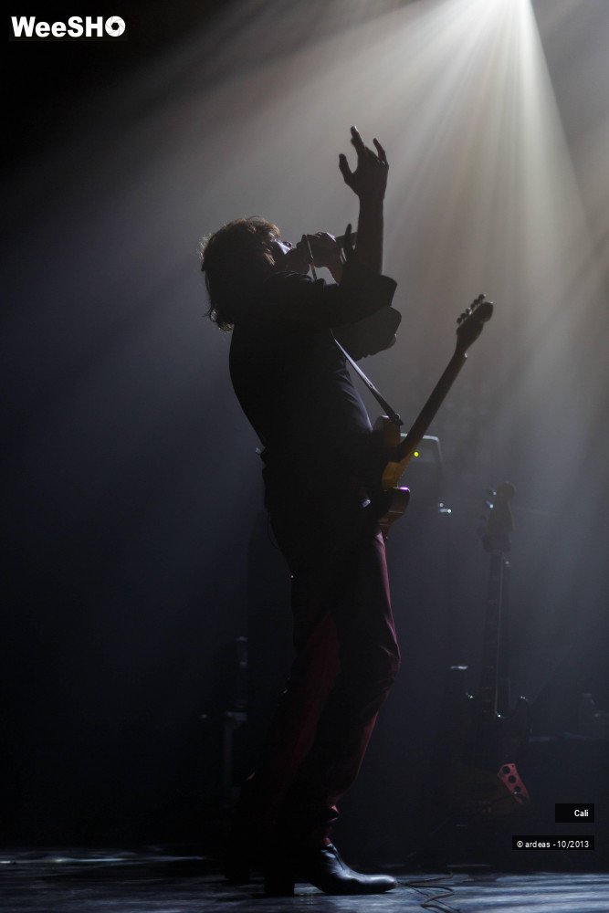26/33 photos du spectacle Cali