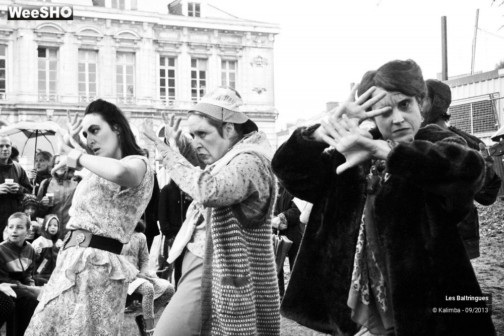33/50 photos du spectacle La Famille Baltringues en Chansons