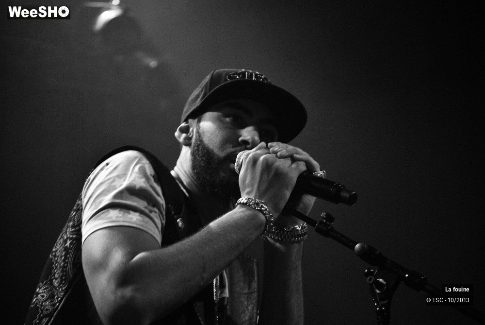 5/20 photos du spectacle La fouine
