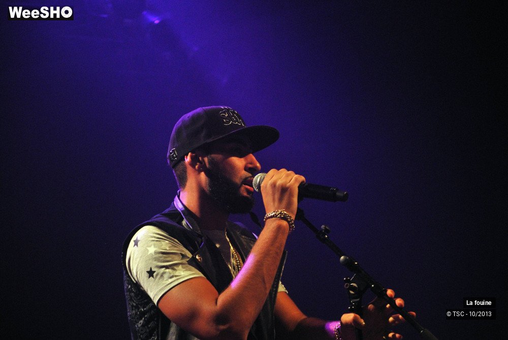 11/20 photos du spectacle La fouine