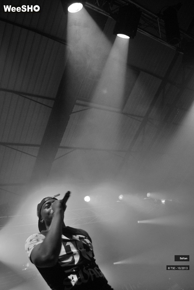 16/21 photos du spectacle Sultan