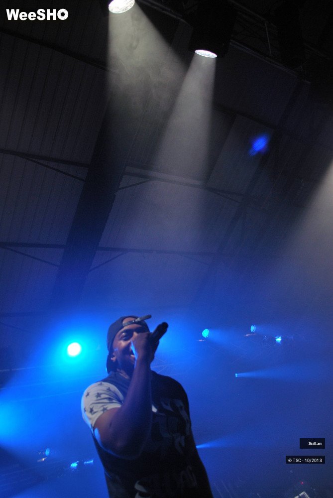 18/21 photos du spectacle Sultan