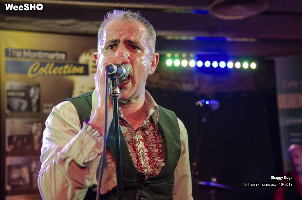 1/50 photos du spectacle Shaggy Dogs