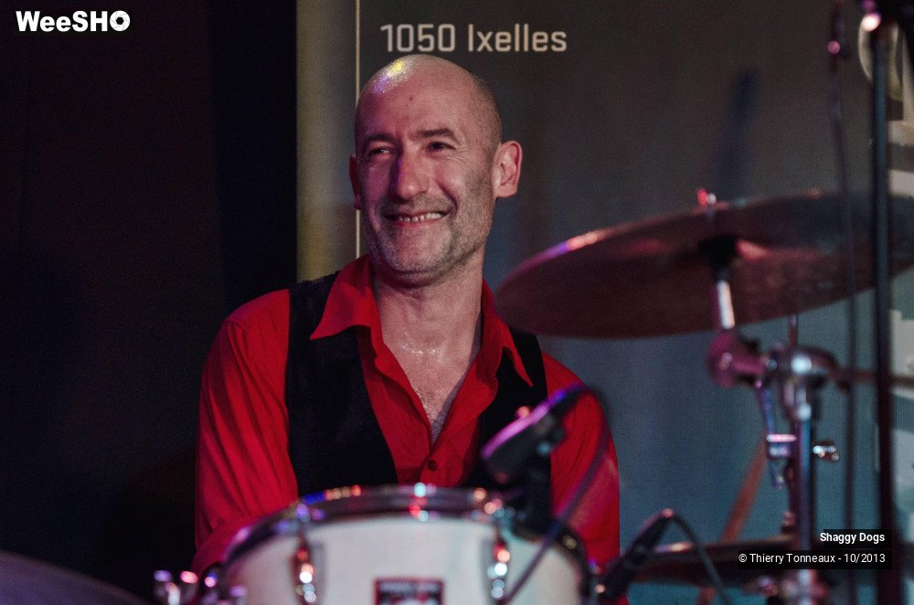 2/50 photos du spectacle Shaggy Dogs