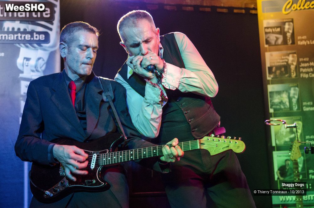 4/50 photos du spectacle Shaggy Dogs