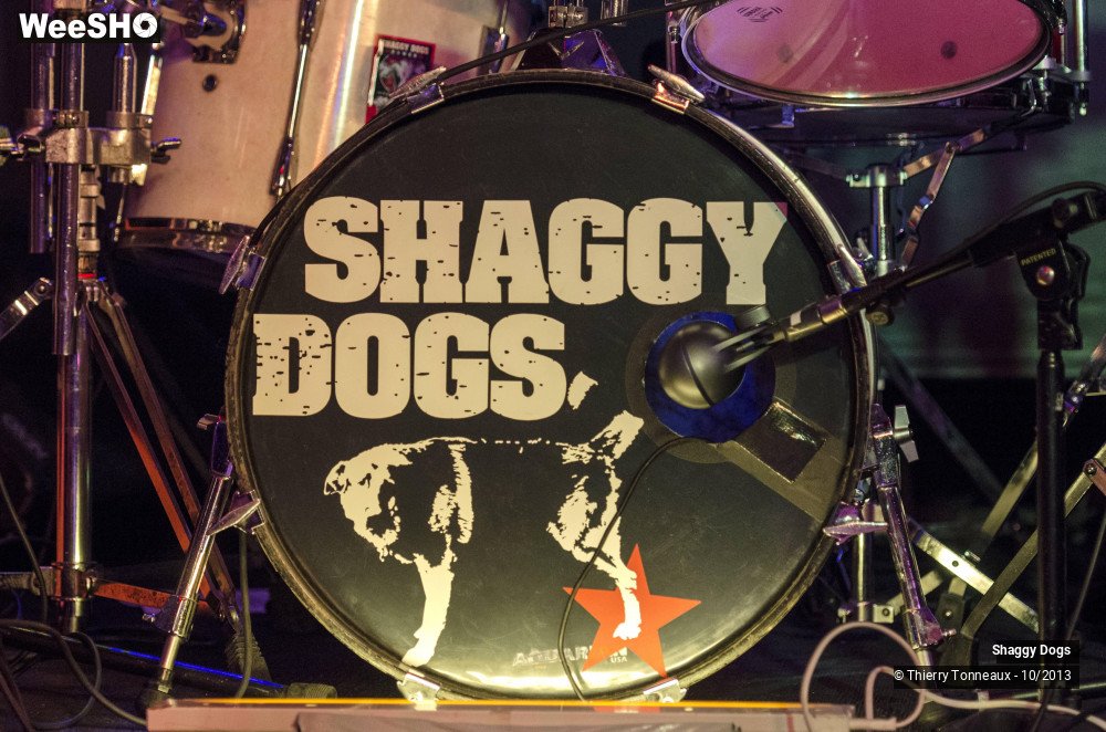 17/50 photos du spectacle Shaggy Dogs